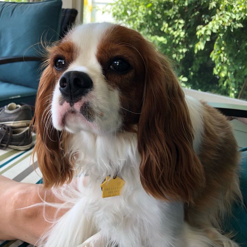 Meet your Posher, Colleen